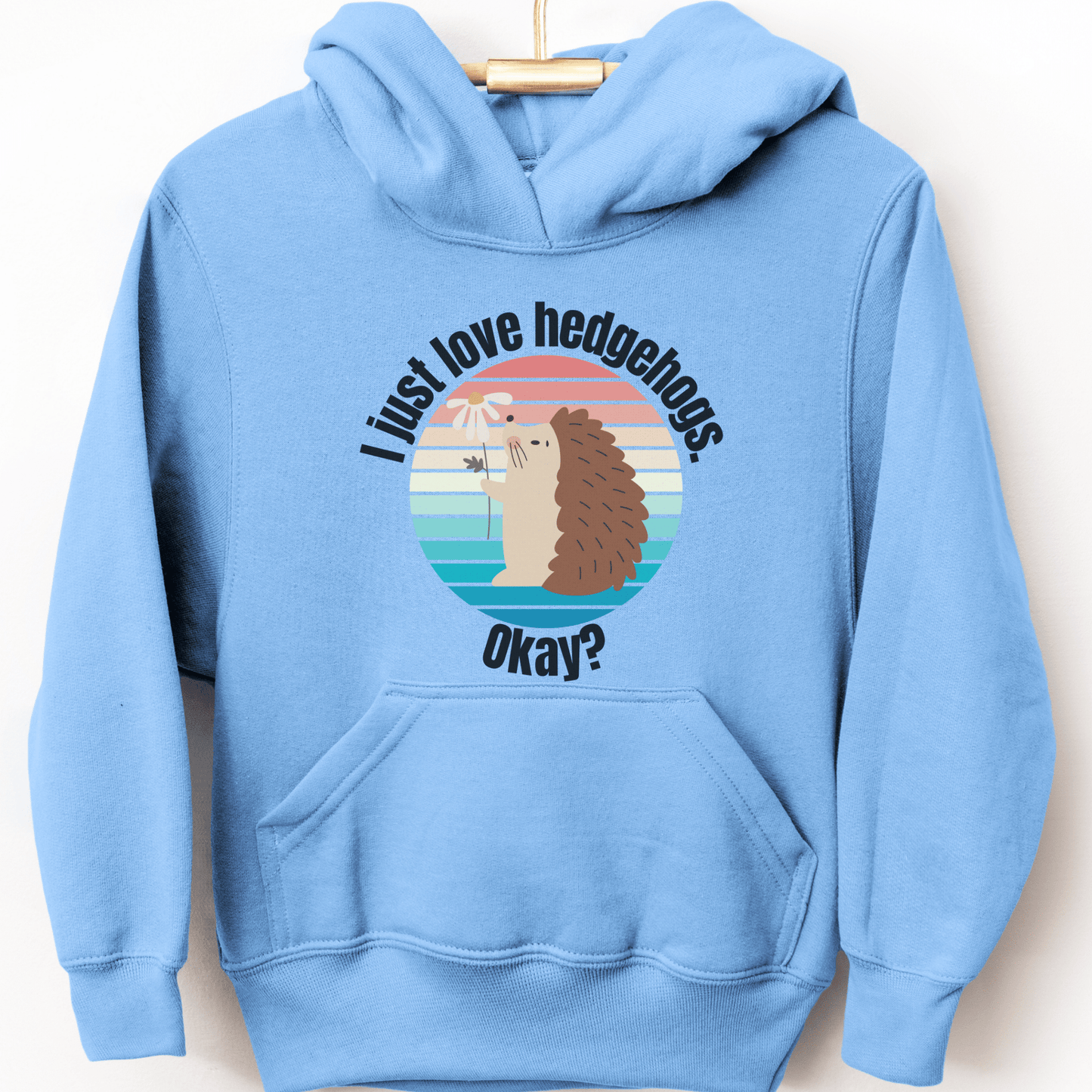 Hedgehog Youth Hoodie